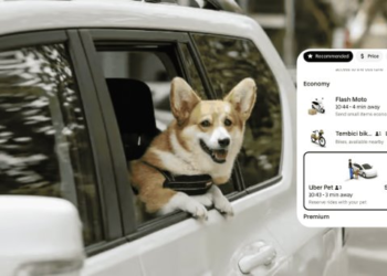 Uber Pet llega a México, servicio de viaje con mascotas