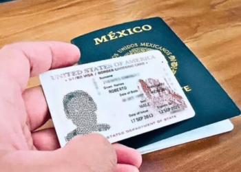 Todo lo que debes saber