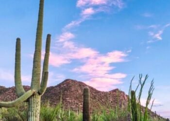 Monzón Mexicano Provocará Lluvias y Vientos Fuertes en el Noroeste, con Altas Temperaturas en Sonora