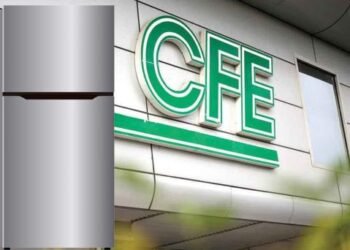 ¿Qué necesito para aplicar a programa de CFE?