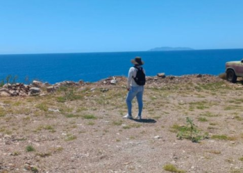 Guerreras Buscadoras de Guaymas y Empalme localizan cuerpo