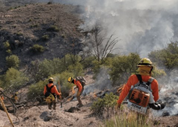 Sonora atraviesa el año con menos daños por incendios