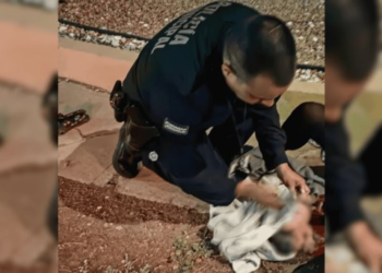 Policía de Hermosillo asiste a mujer en labor de parto