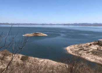 Agua en presas de Sonora es insuficiente para uso agrícola