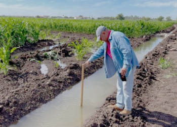 Escasez de agua pone en riesgo producción agrícola