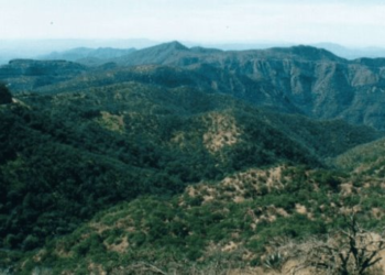 Sonora recupera ecosistemas con la inducción de lluvias
