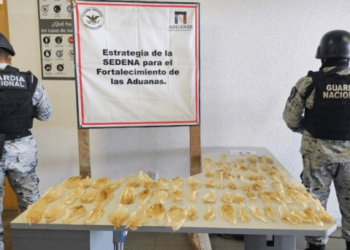 Aseguran 75 buches de totoaba