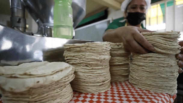 Precio de la tortilla en Hermosillo Precio de la tortilla en Hermosillo
