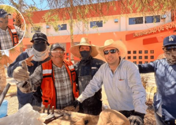 albañil con 40 años de experiencia