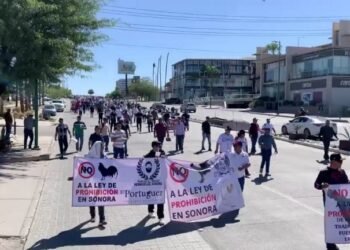 Galleros de Sonora protestan contra la nueva Ley de Protección Animal