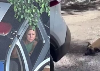Detienen a mujer en Tlaquepaque por arrastrar a un perro con su camioneta