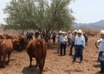 Aumenta seguridad en zona rural, confirma la UGRS