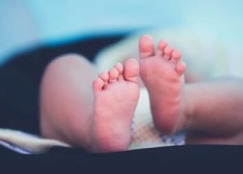 ¿Cuántos nacimientos en México se registraron en el 2023?