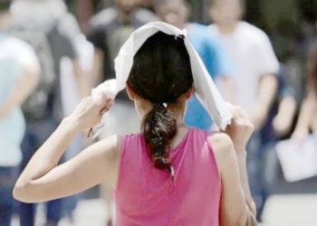 Reporta SSP 384 casos por efectos del calor