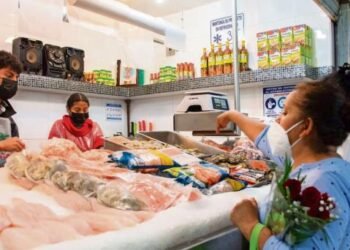 Retrocede inversión mientras el consumo privado