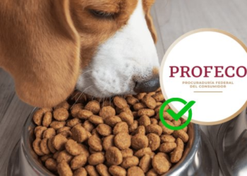 ¿Cuáles son las mejores croquetas para perros según Profeco?