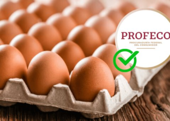 ¿Cuáles son las mejores marcas de huevo? Esto dice Profeco