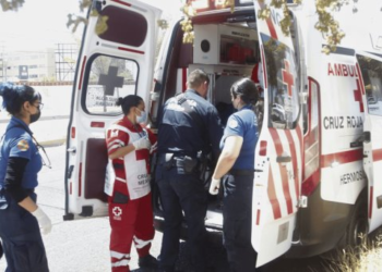 En lo que va de 2024 han muerto 38 personas por el calor