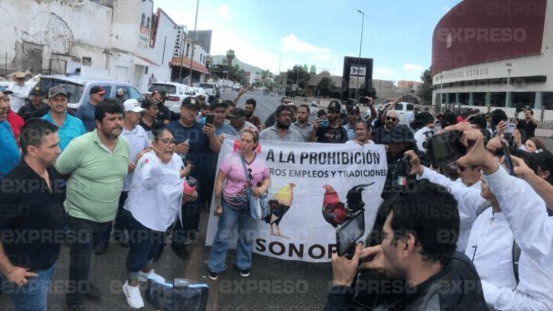 Se manifestarán contra Ley de Protección Animal Se manifestarán contra Ley de Protección Animal