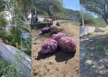 Invitan a jornada de limpieza en parque