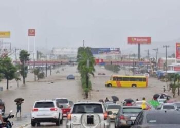 reportan 5 muertos en Guerrero