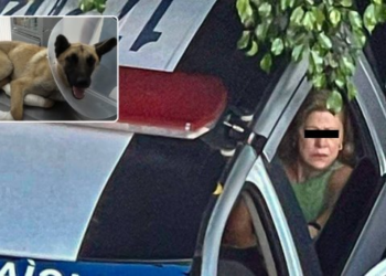 Detienen a mujer por maltrato animal en Jalisco