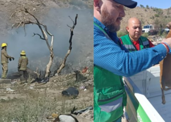 Rescatan a perrito en incendio