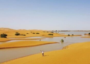 Increíbles lluvias inundan el Sahara, se rompen 50 años de sequía en el desierto más grande del mundo