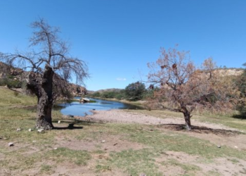 altas temperaturas afectan abasto de agua