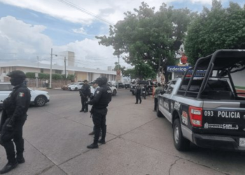 Suman 183 vehículos robados en 22 días