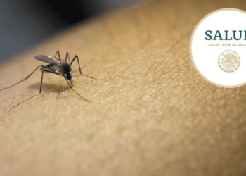 Reportan 44 contagios de dengue en una semana