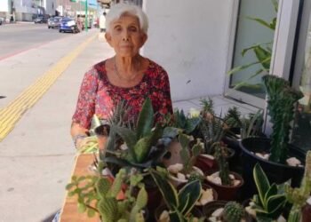 Cultiva plantas en su jardín para tener un ingreso