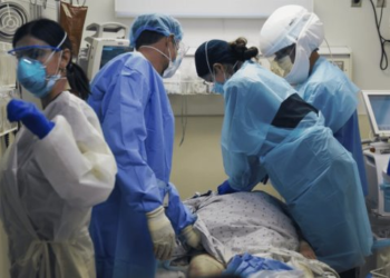 van 13 mil 734 casos en México en 2024