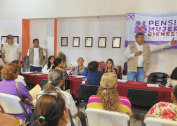 Programa Salud Casa por Casa: Bienestar Sonora levanta censo