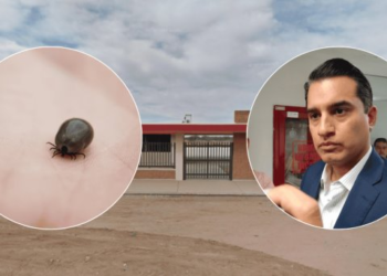 Caso rickettsia en primaria de Hermosillo; fumigan escuela