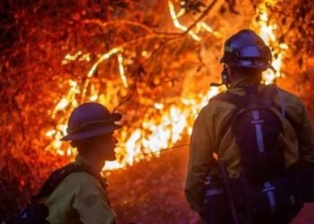 Los Ángeles enfrenta los incendios forestales más devastadores de su historia