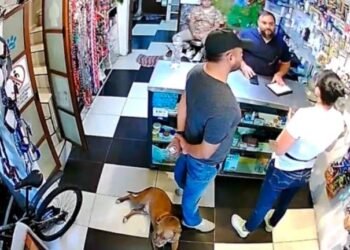 Matan a veterinario en Tultepec tras recibir amenazas por la muerte de una perrita