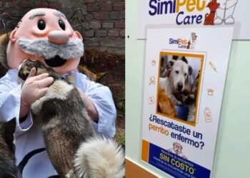 Perritos rescatados recibirán atención médica gratuita gracias al Dr. Simi