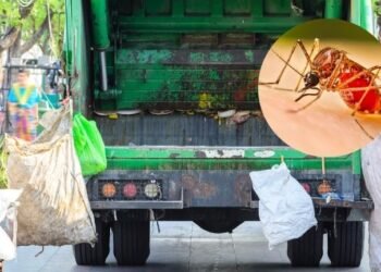 Con descacharre y fumigación, buscan frenar enfermedades como dengue y zika en Hermosillo