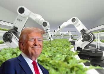 Donald Trump dice no a la regularización de jornaleros y propone automatizar el campo