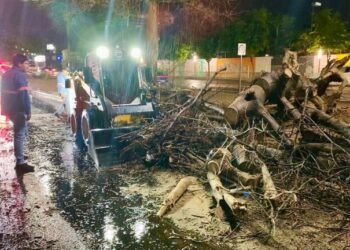 Viento y lluvia provocan estragos en Hermosillo
