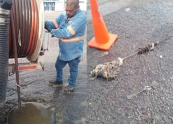 Llama Agua de Hermosillo a no tirar basura en coladeras y baños para evitar taponamientos