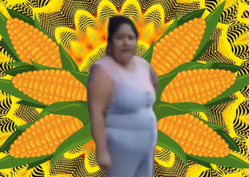 “Lady Elotes”: Mujer destruye carrito de vendedor en Veracruz y el video causa indignación en redes