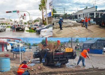 Reparan calles, semáforos y árboles caídos en Hermosillo después de las lluvias