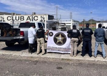 Rescatan a 30 perros víctimas de maltrato en centro canino