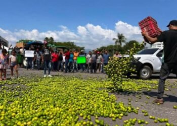 Productores de limón y aguacate protestan tirando su fruta por los bajos precios en el Paro Nacional Agropecuario Productores de limón y aguacate protestan tirando su fruta por los bajos precios en el Paro Nacional Agropecuario