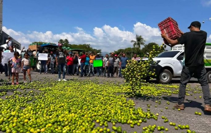 Productores de limón y aguacate protestan tirando su fruta por los bajos precios en el Paro Nacional Agropecuario Productores de limón y aguacate protestan tirando su fruta por los bajos precios en el Paro Nacional Agropecuario