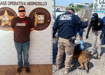 Justicia para ‘Nena’: procesan al responsable de maltrato animal Justicia para ‘Nena’: procesan al responsable de maltrato animal