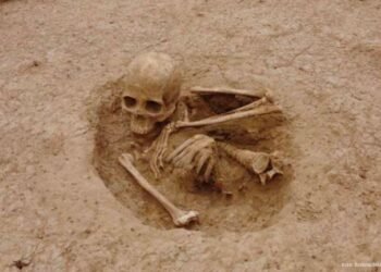 INAH mostrará qué han encontrado en Puerto Libertad durante excavaciones