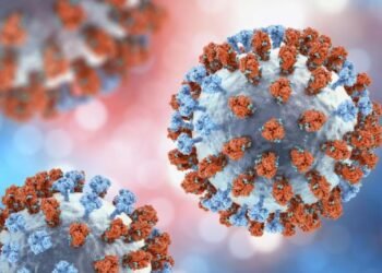 Brote de gripe H3N2 en Europa